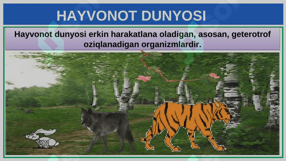 HAYVONOT DUNYOSI 2
