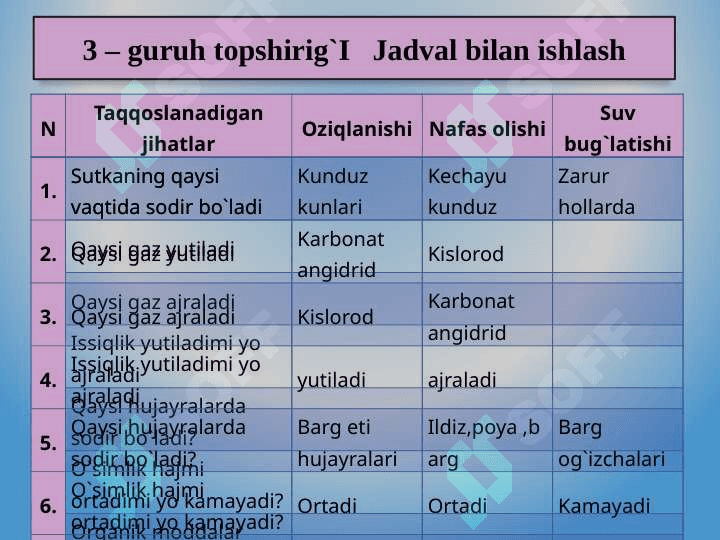 Zamburug`lar dunyosi 8