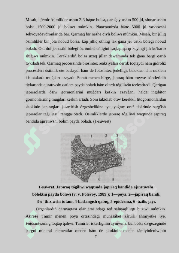 « Ósimlikler ósiwi hám rawajlanıwın basqarıw» 7