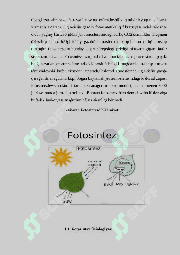 Fotosintez fiziologiyasi hám ekologiyasi 6