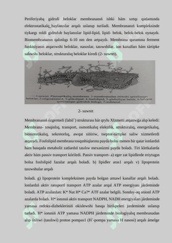 Ósimlikler kletkasıniń dúzilisi 5