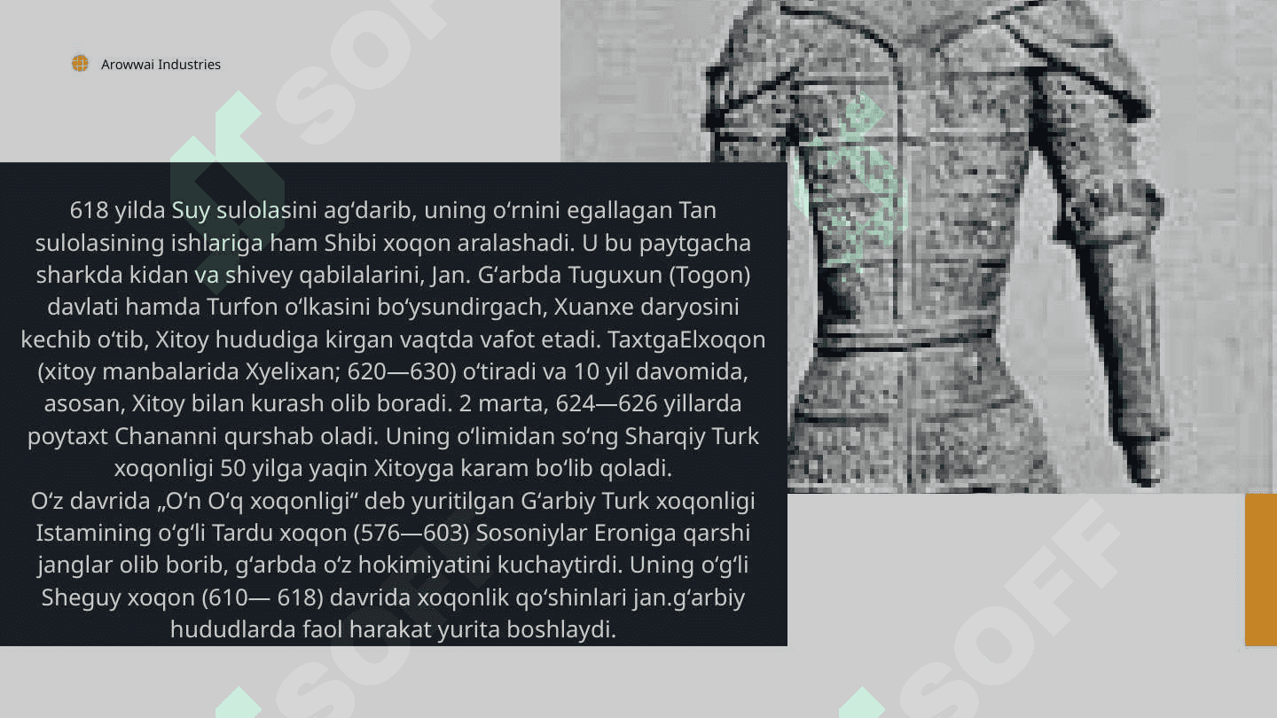 TURK XOQONLIGINI TASHKIL TOPISHI 8