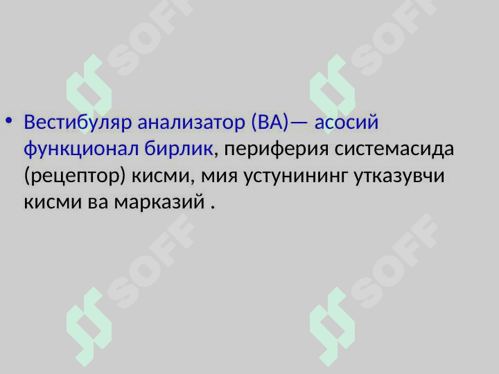 Вестибуляр  анализатор 6