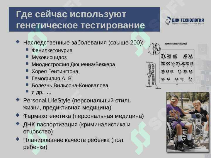 Обыкновенное чудо генетики 6