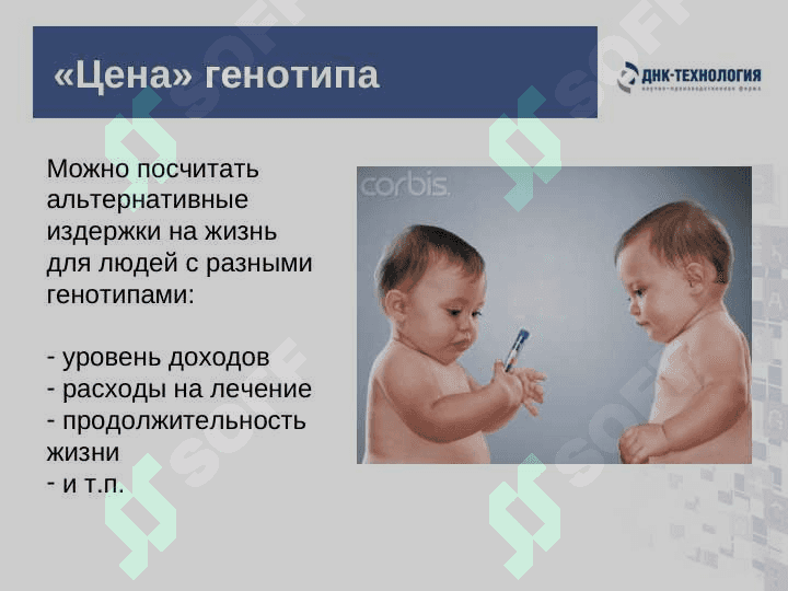 Обыкновенное чудо генетики 8