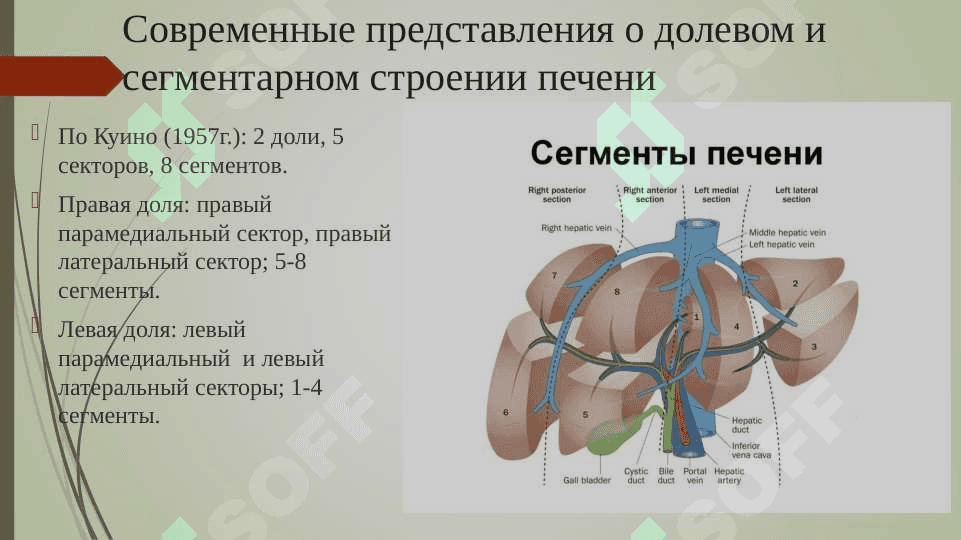 Резекции печени 4