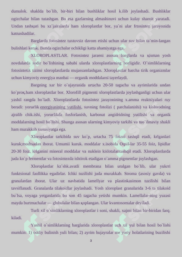 Plastidalar tuzilishi va tiplari 3