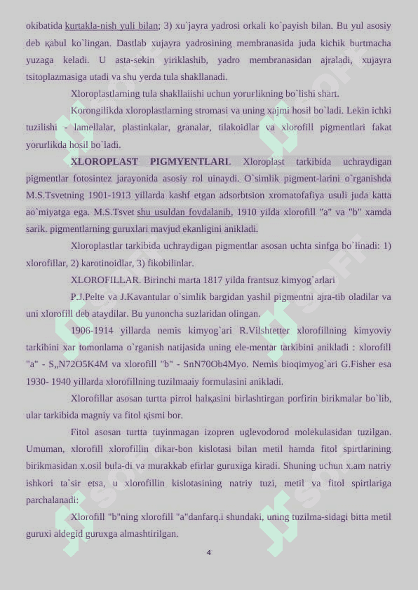 Plastidalar tuzilishi va tiplari 4