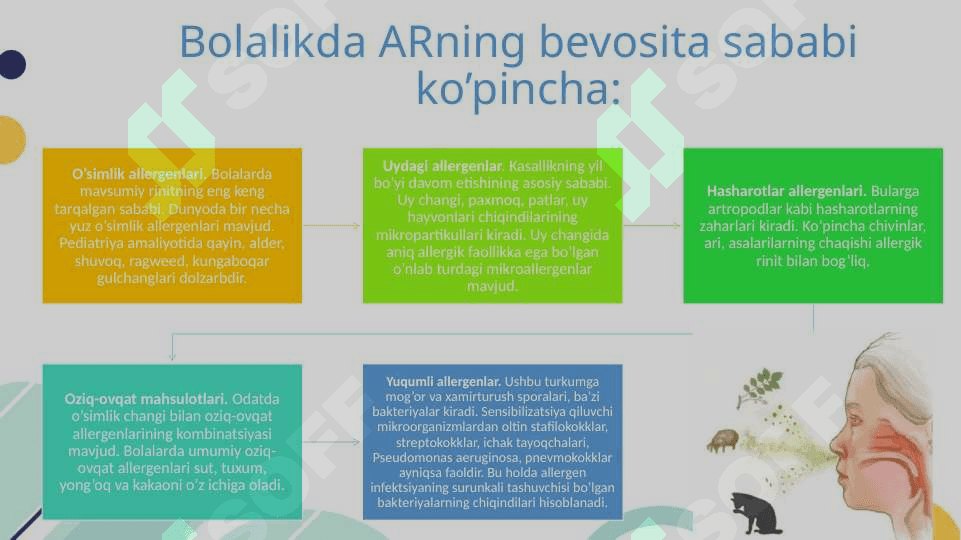 BOLALARDA ALLERGIK RINIT 6