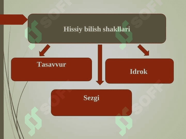 Mantiq tushunchasi. 7