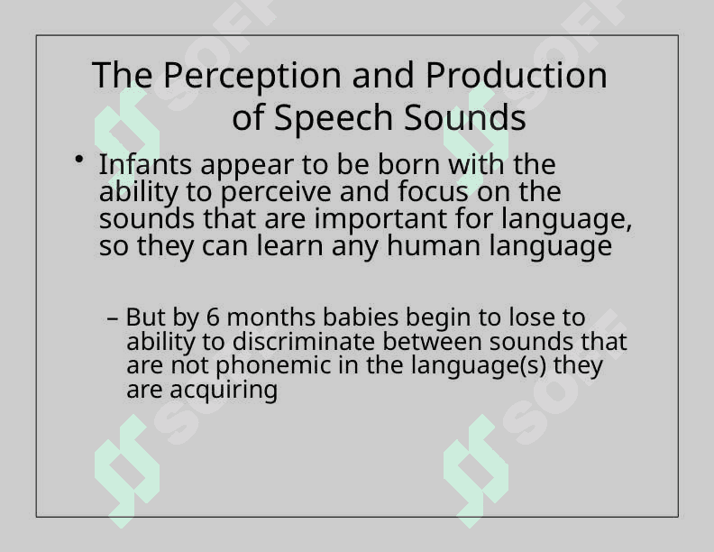 language acquisition.ppt 8