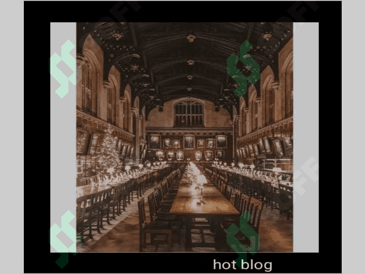 Oxford university presintation 3