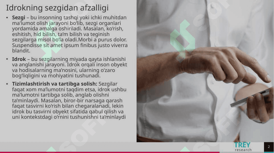 Perseptiv obrazni tashkillashtirish 2