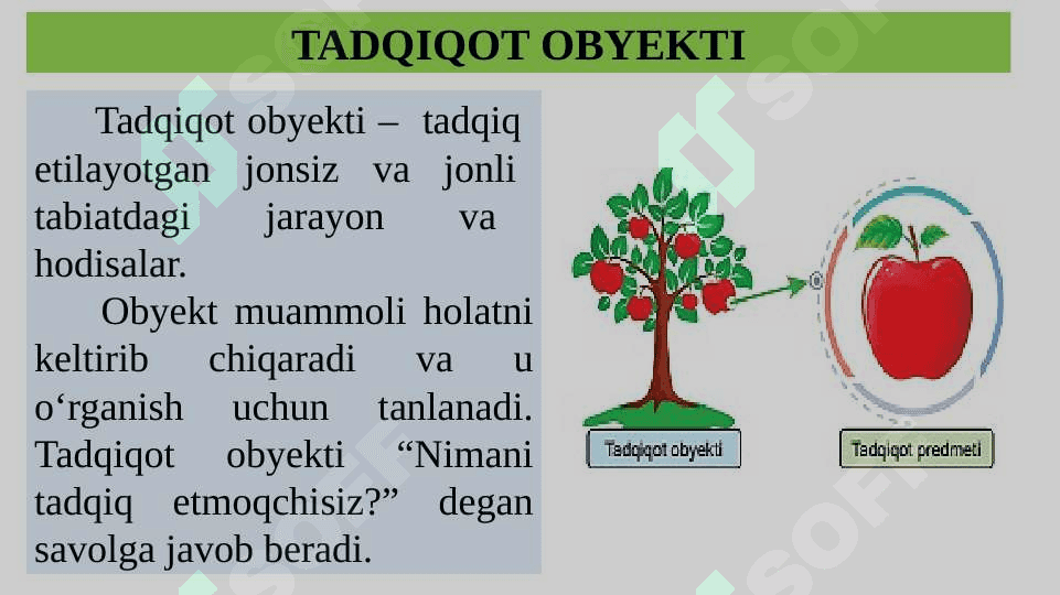 TABIIY FANLARNING TADQIQOT OBYEKTI 3