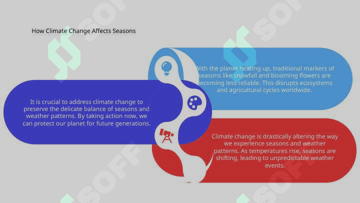 Seasons and Weather 6
