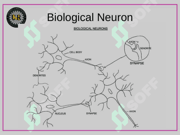 A Brief Overview of Neural Networks 3
