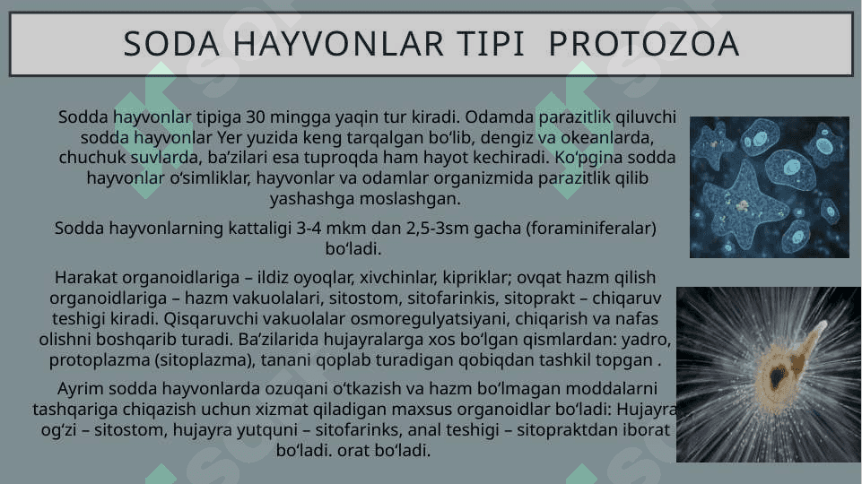 xivchinlilar odam parazitlari tripanasomalar leyshmanialar 6