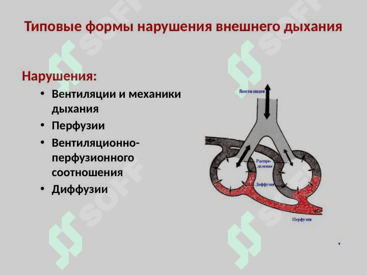 Патофизиология дыхания 5