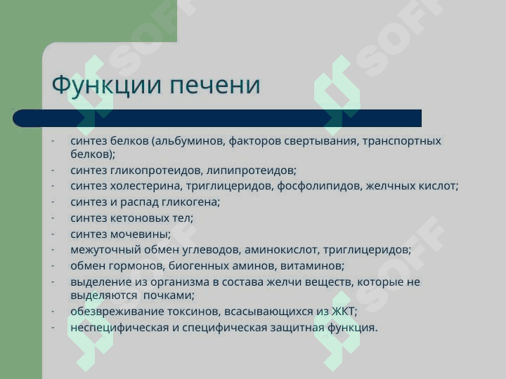 Патофизиология печени 2