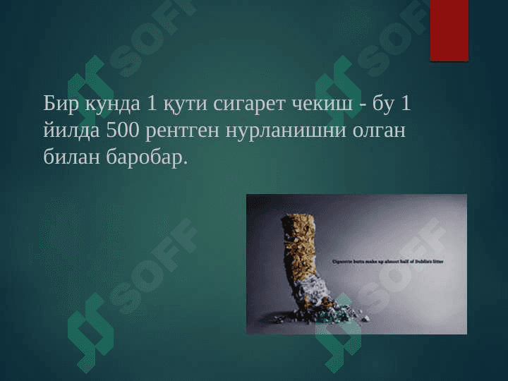 Nikotinizm 4