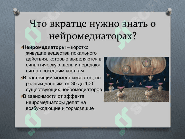 Нейромедиаторы 4