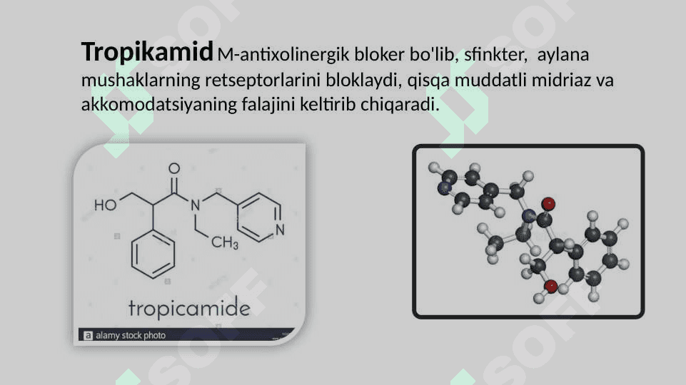 Tropikamid 2