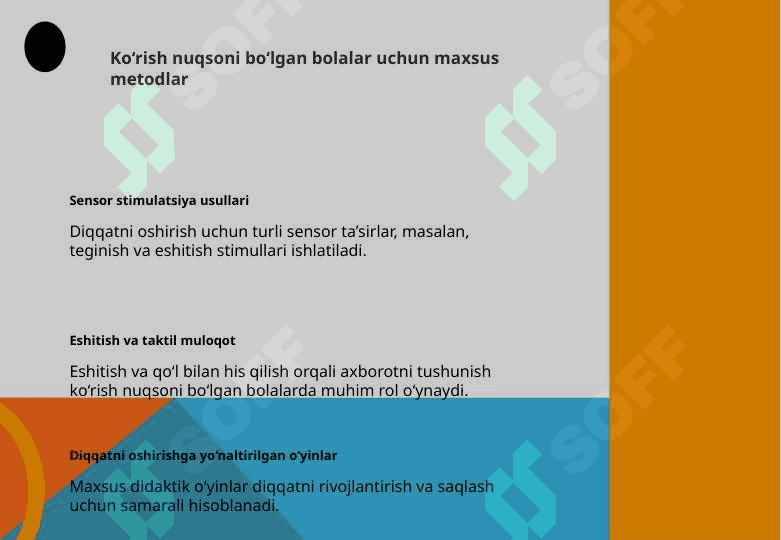 KO‘RISHIDA NUQSONI BO‘LGAN BOLALARNING DIQQAT XUSUSIYATLARI 6