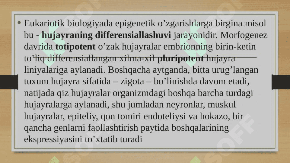 Epigenomika 6