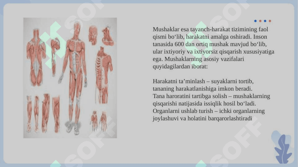 Tayanch- Harakat tizimi kasaliklari 5