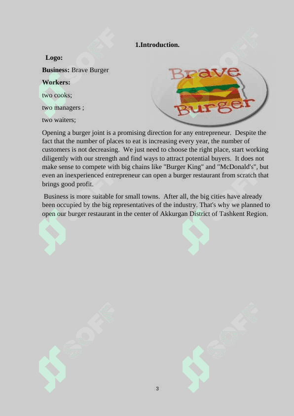 Business plan 3