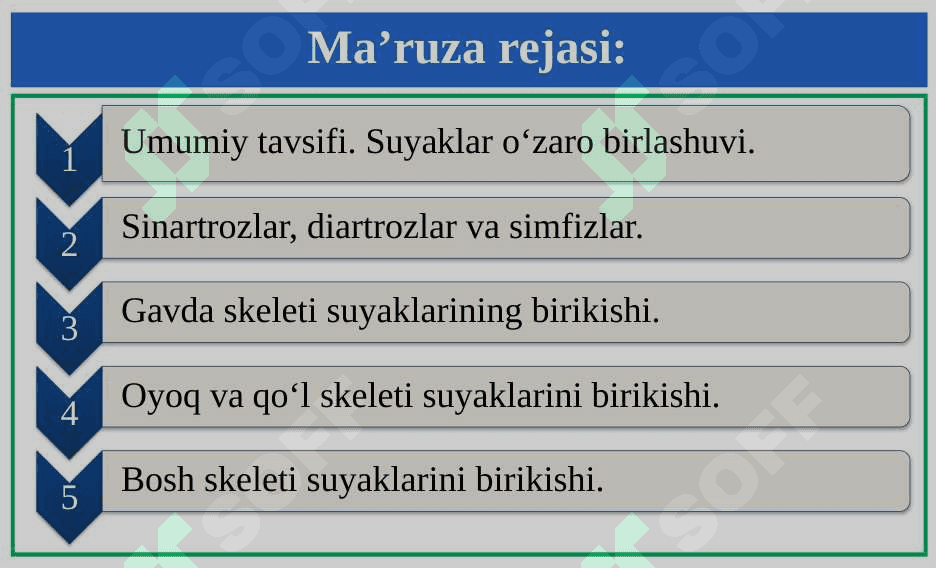SINDESMOLOGIYA 2