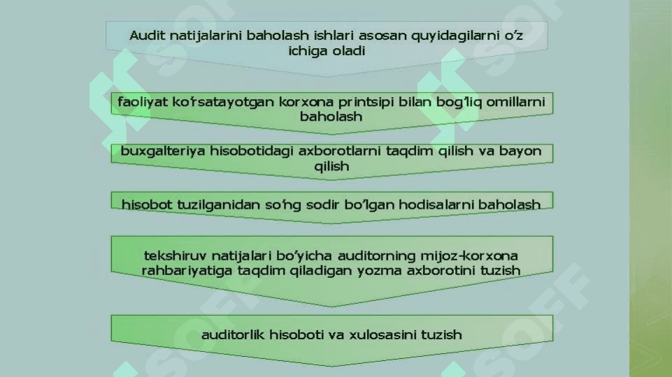Auditorlik dalilar 4