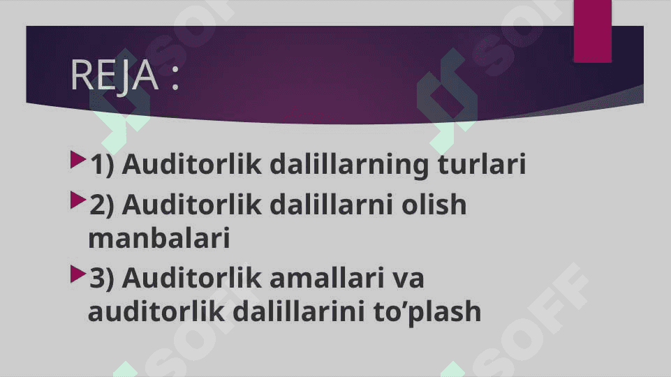 Auditorlik dallilar 2