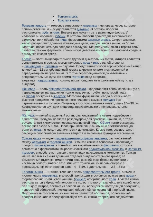 Пищеварительная система человека 3