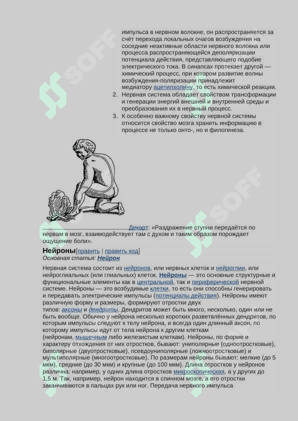 Нервная система 2