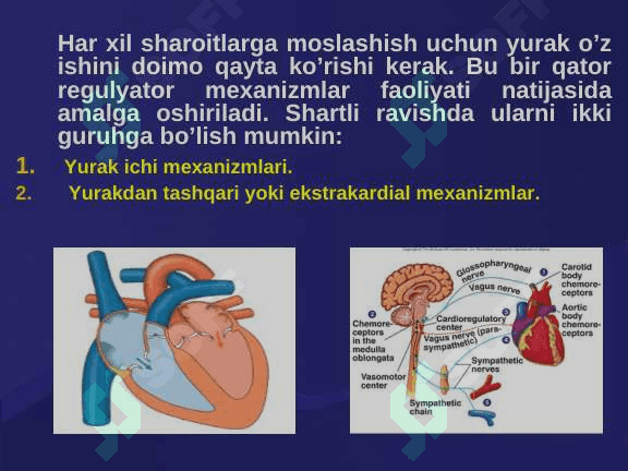 Yurak faoliyatining boshqarilishi. 6