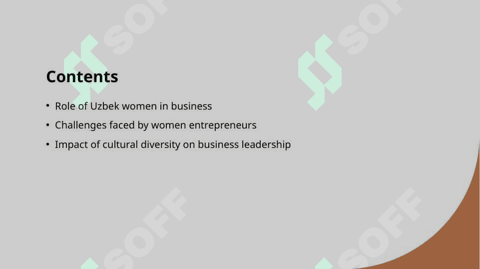 Uzbek business ladies 2