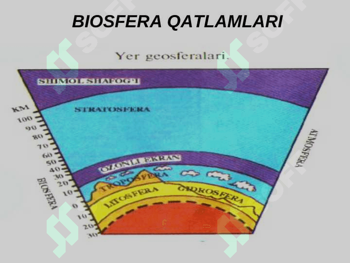 BIOSFERA  VA  UNING  TARKIBI, MODDALARNING  AYLANISHI 5