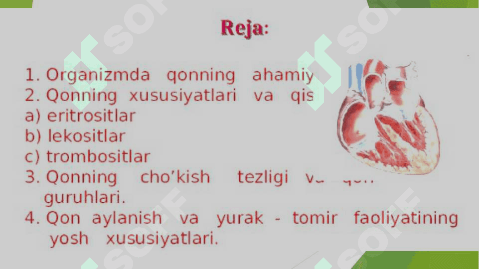 Qon aylanishi 2