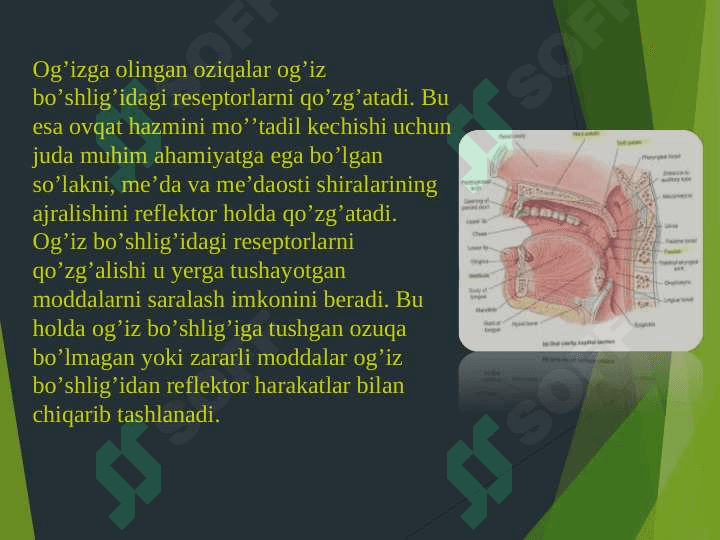 Chaynash so’lak tarkibi 2