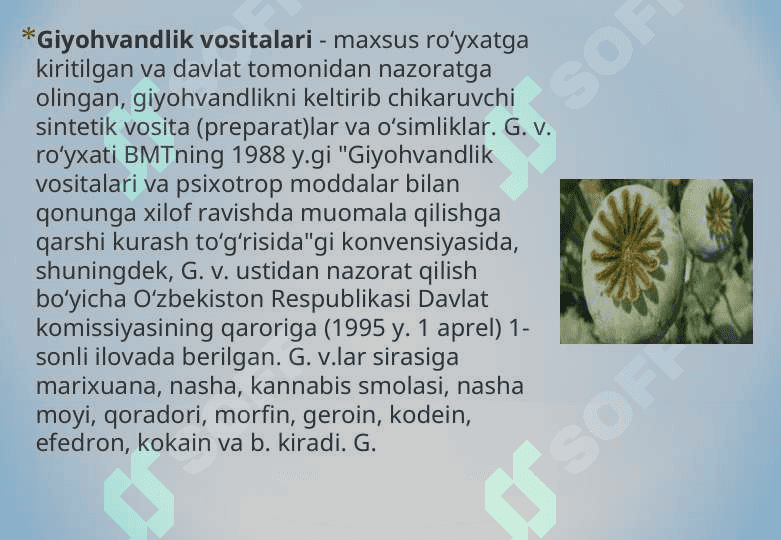 Giyohvand moddalar 2