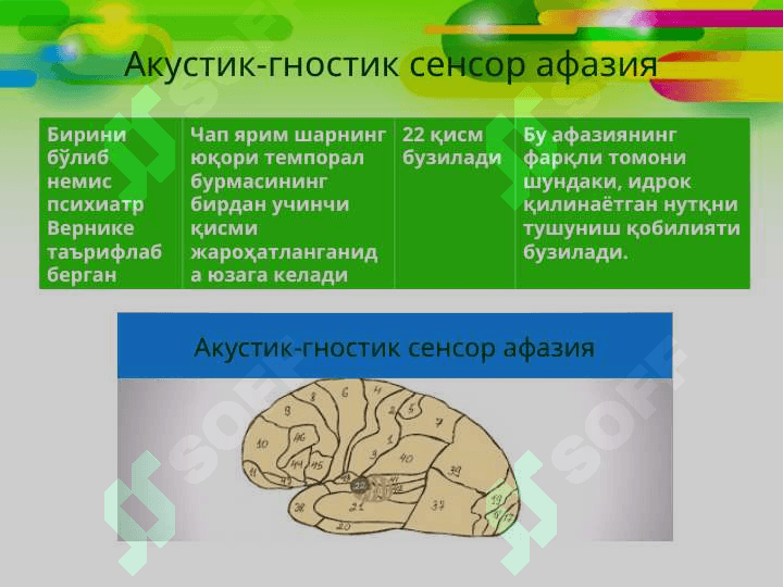 Афазия шакллари 8