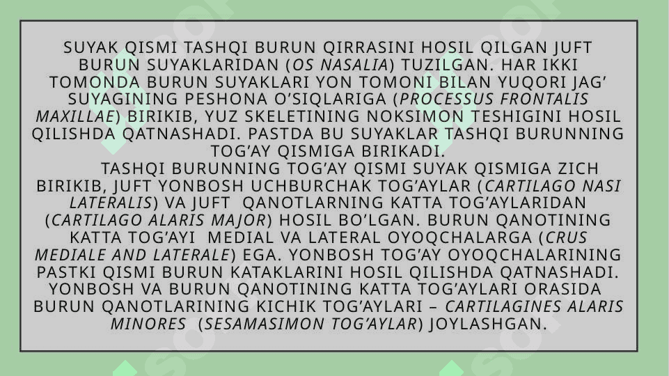 BURUNNING YON BO`SHLIQLARINING KLINIK ANATOMIYASI 4