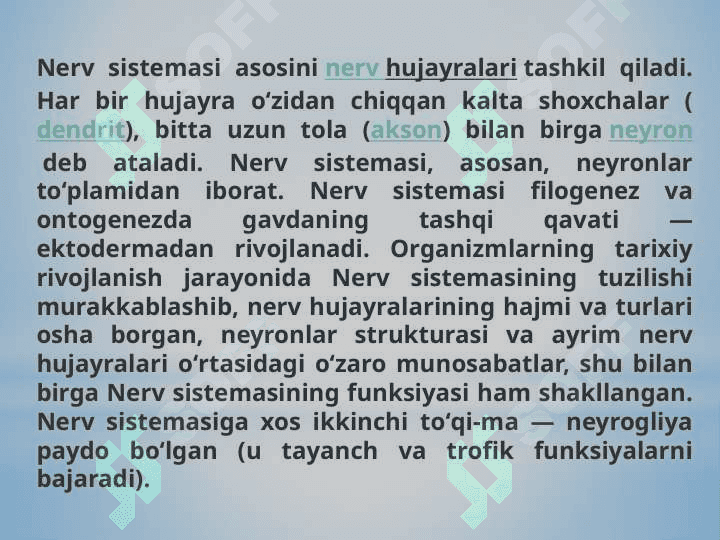 Nerv sistemasi ivolutsiyasi va ontogenezi 4