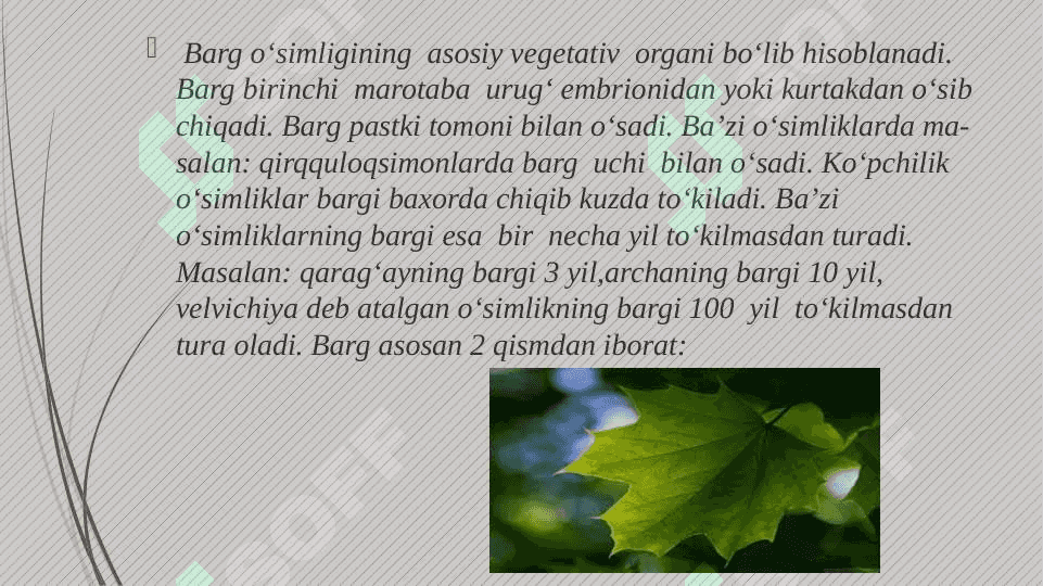 Barg metamarfozi 2