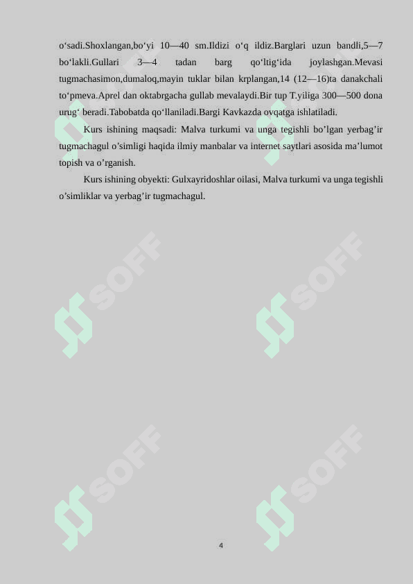 GULXAYRIGULLILAR QABILASI — MALVALES 4