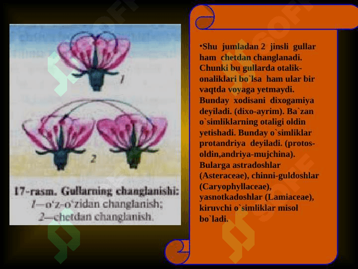 Changlanish jarayoni 7
