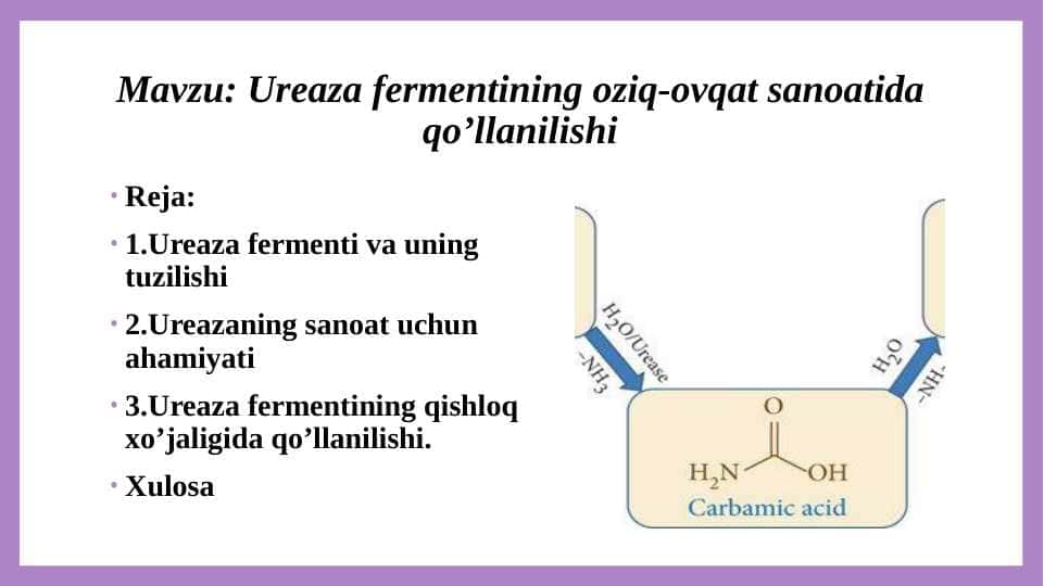 Ureaza fermentining oziq-ovqat sanoatida qo’llanilishi