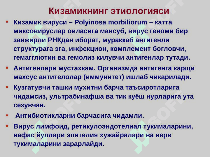 Кизамик 5