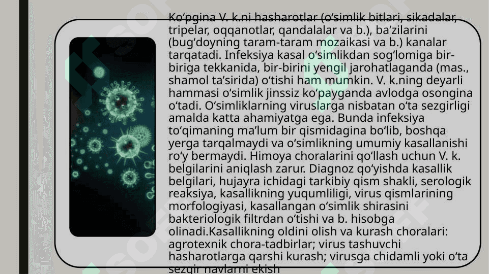 Virusli infeksiyalar diognostikasi 5